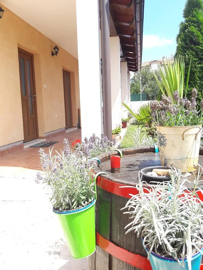 Apartment Vacation Home Licinius Liznjan